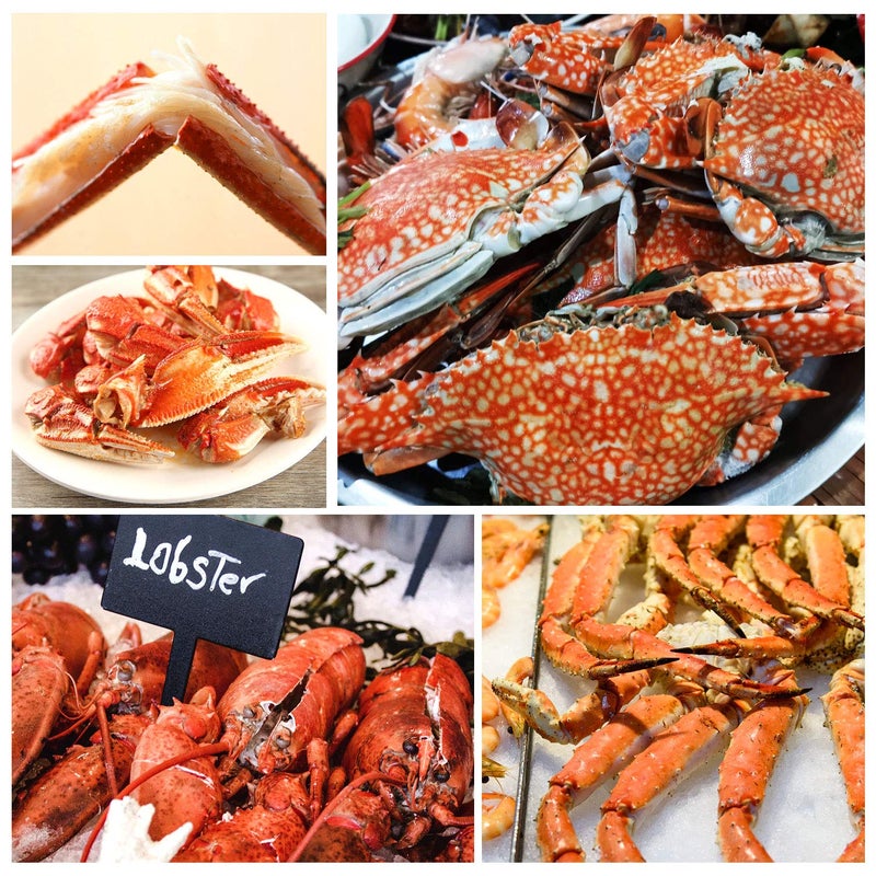 ZAUGONTW Crab Crackers and Tools, Lobster Crackers, Seafood Crab Leg Cracker Tools, Nut Cracker Set, 8 Pack - Image 3